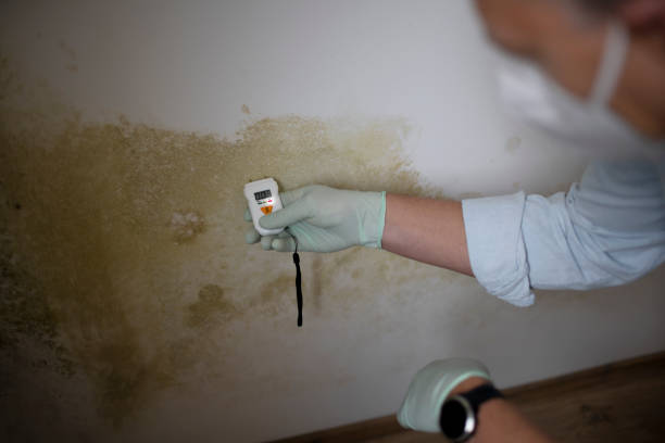 Best Residential Mold Removal  in Dunlap, OH