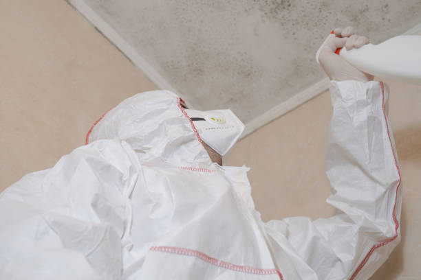 Mold Testing and Removal in Dunlap, OH